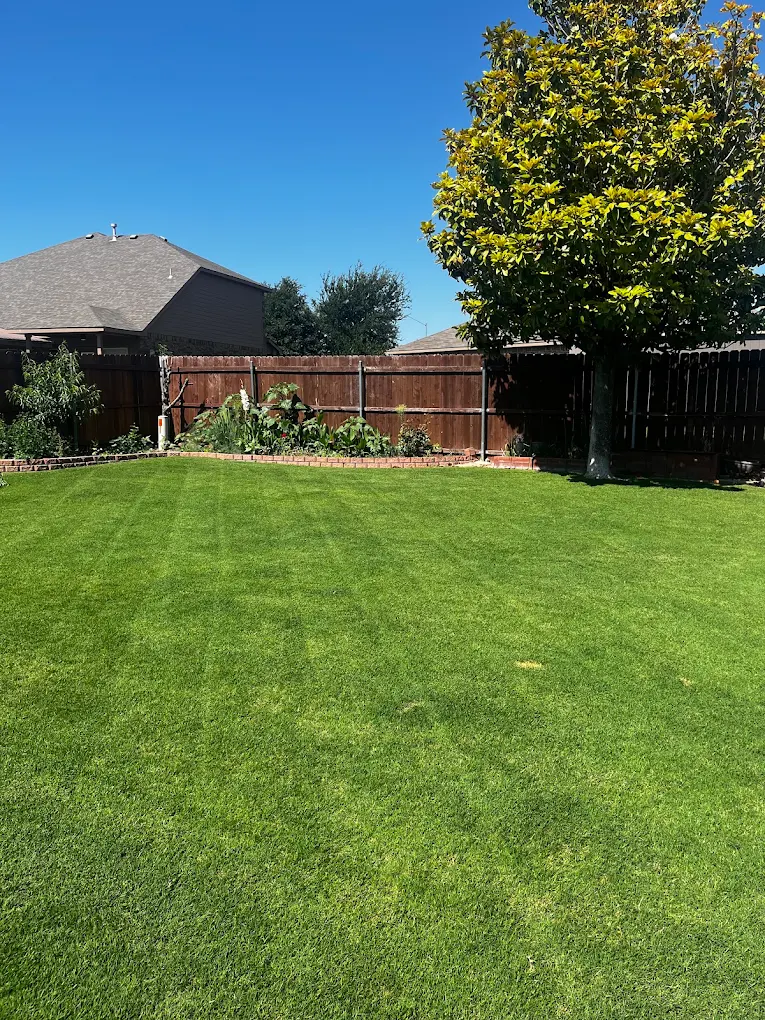 A freshly mowed lawn with crisp stripes